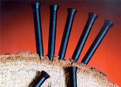 RFID-Technologie-Anwendung für das Management von alten berühmten Bäumen