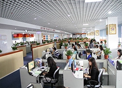 Il produttore di Chuangxinjia batte il record storico con un alto rendimento mensile