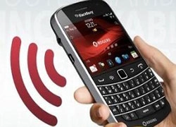 NFC Wallet With Support For Prepaid And Gift Cards - Chuangxinjia NFC Factory