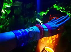 Singapore Zoo: RFID wristbands can trigger different animal images