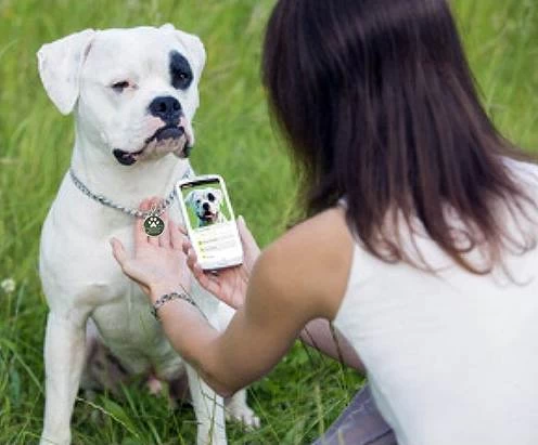 Großhandel benutzerdefinierte Metallrahmen-NFC-Epoxy-beschichtetes Hunde-Tag QR-Code-Tracking