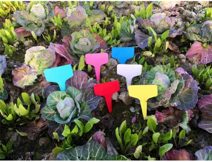 Wholesale Customized UHF RFID Breeding Tags for Potted Plant Management