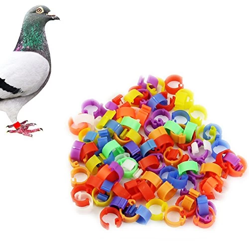 China rfid animal ring tags carrier pigeon ring tags with customized colors for pigeon tracking