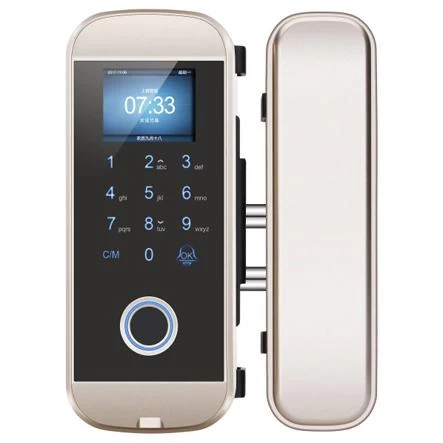 China Fingerprint Glass Door Lock Built In Time Attendance Function And U Disk fabricante