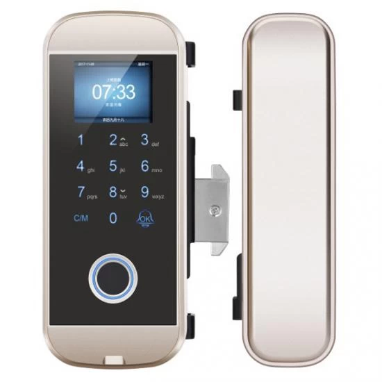 China RFID Keyless Porta Entry Systems Lock Touch Screen Tela Digital Porta Fecheiras fabricante