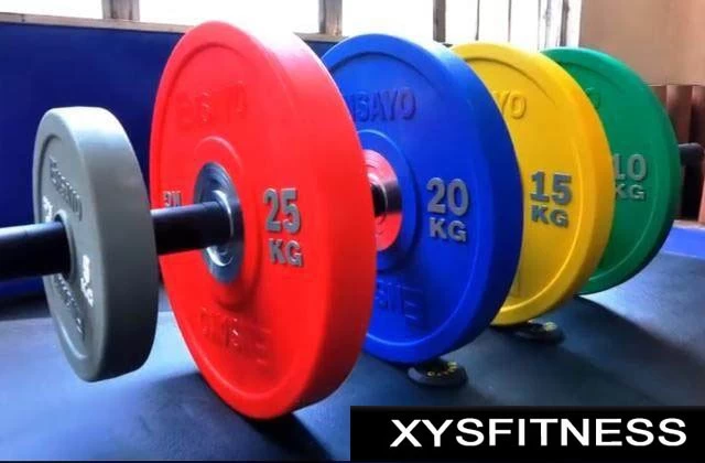 wholesale PU barbell plate