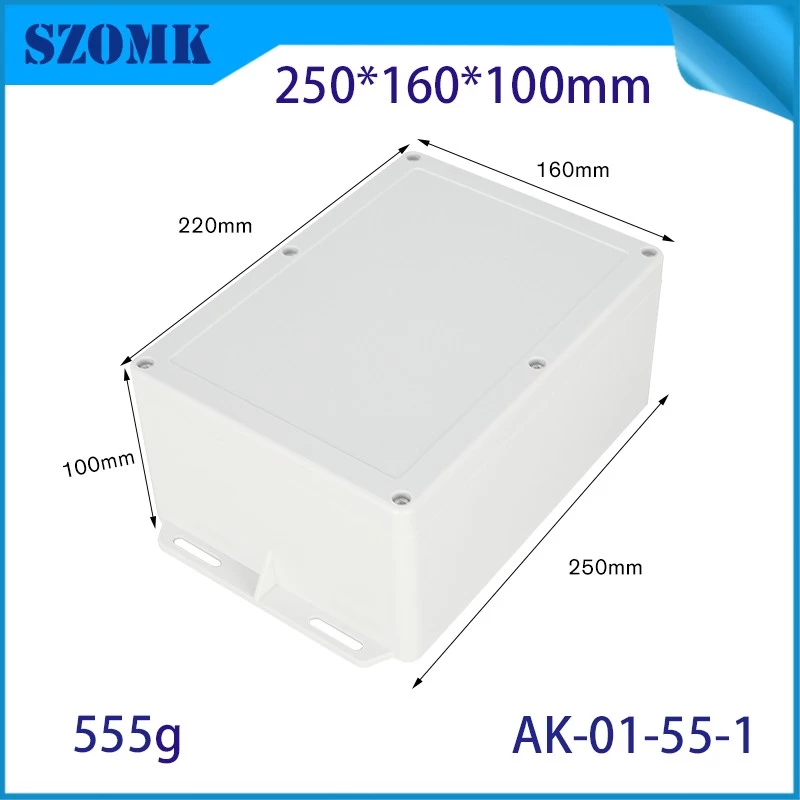 porcelana IP66 250*160*100 mm Impresión de la pared de plástico al aire libre Caja de montaje de pared AK-01-55-1 fabricante