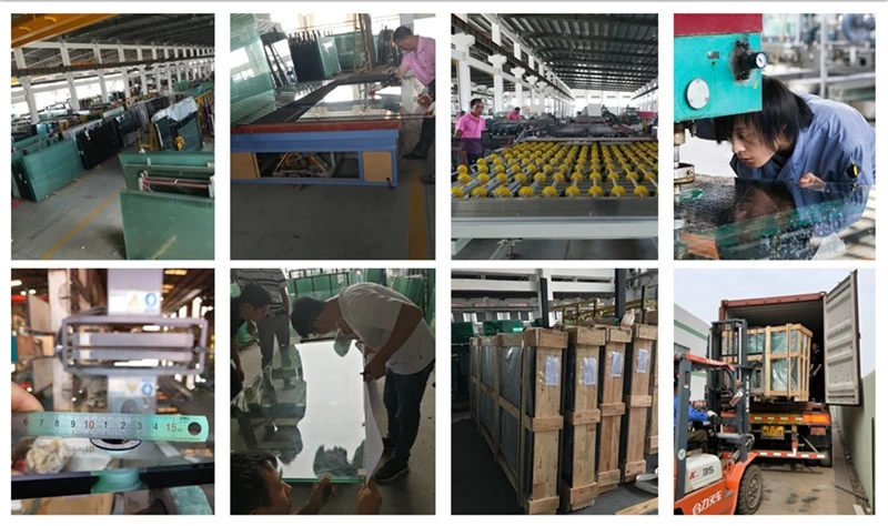 quality control high quality laminated glass prices