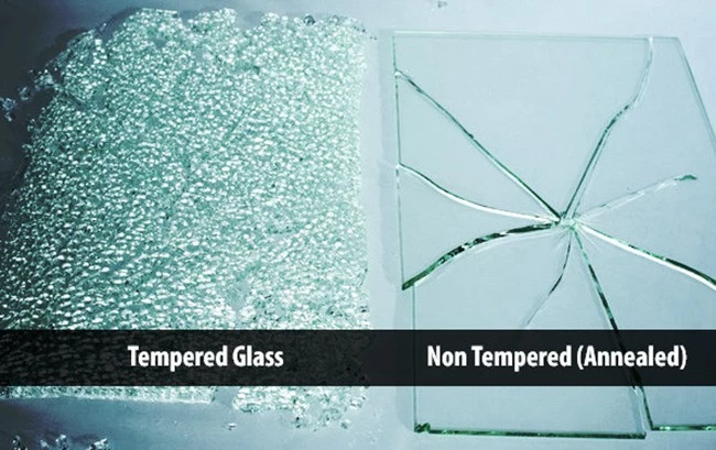 tempered glass and non- tempered glass