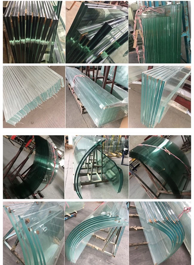 flat and curved tempered laminated glass