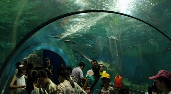 China Aquarium Glass Manufacturer