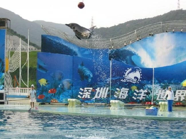 Shenzhen Xiaomeisha Sea World