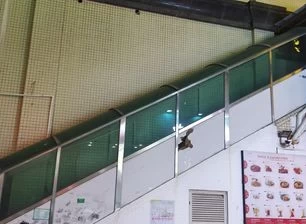 الزجاج مغلفة مقسيا منحني لسقف درج