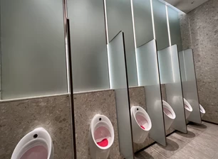frosted glass toilet partition