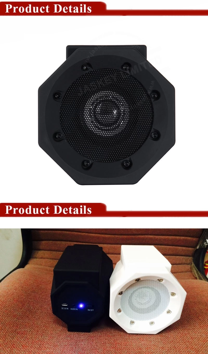Portable Speaker System