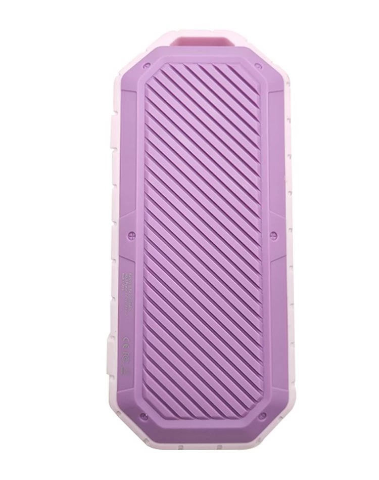 Loudest Waterproof Bluetooth Speaker NSP-0202