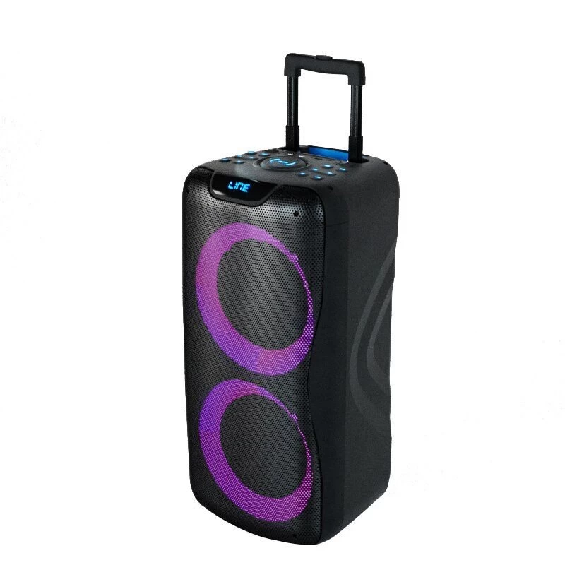 China Pull rod high-end speakers High Power 100W Portable Party Bluetooth Speaker NSP-0313 manufacturer