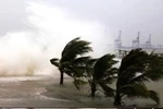 Typhoon comes- nosso cuidado humanístico