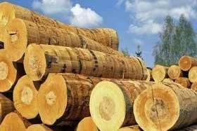 Твердой древесины вешалки и другие 10 стандартов деревообрабатывающей промышленности были реализован