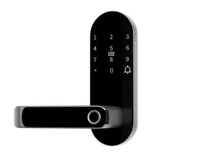 China Fingerprint Electronic Handle Lock TTLOCK Smart Home Door Lock Biometric Password Lock With Card Reader