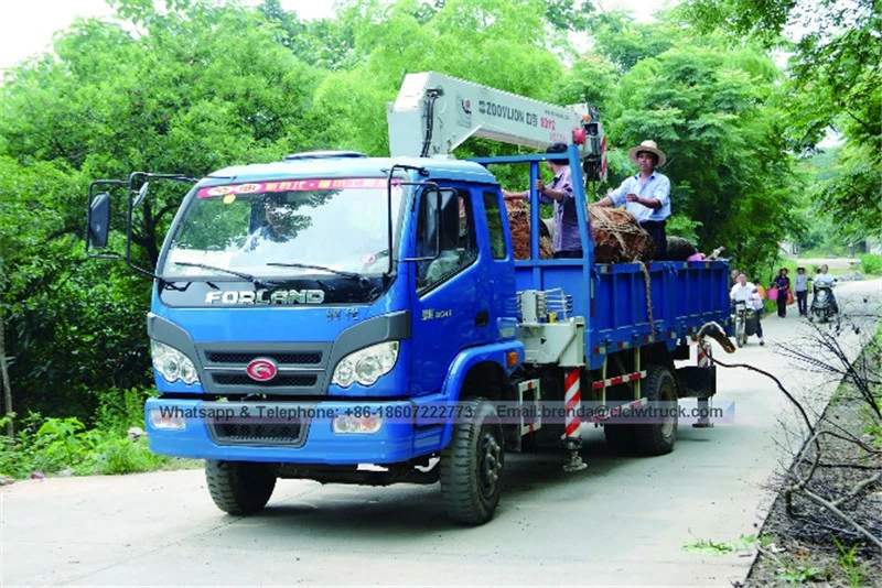 4x2 Foton Forland 5000 kgs Lorry Crane Hydraulic Boom Crane Truck