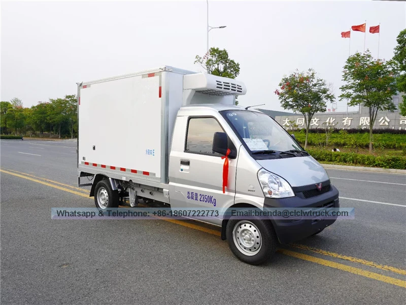 Foton refrigerator truck supplier China, Foton chill car, freezer car 3 Ton, 4X2 refrigerator cargo truck