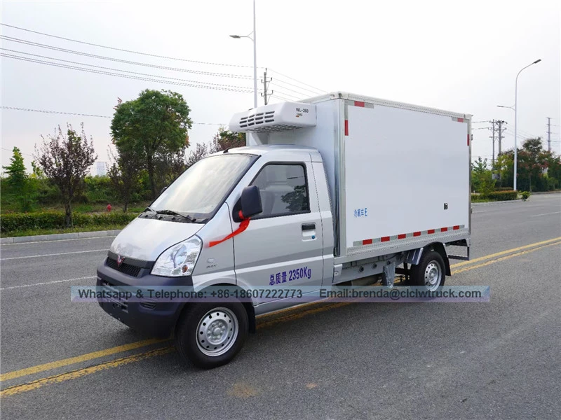 Foton refrigerator truck supplier China, Foton chill car, freezer car 3 Ton, 4X2 refrigerator cargo truck