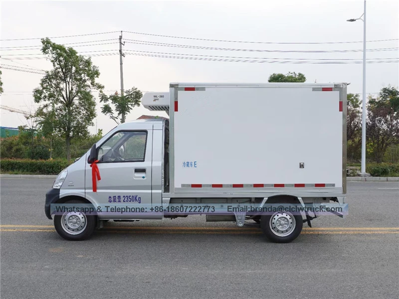 Foton refrigerator truck supplier China, Foton chill car, freezer car 3 Ton, 4X2 refrigerator cargo truck