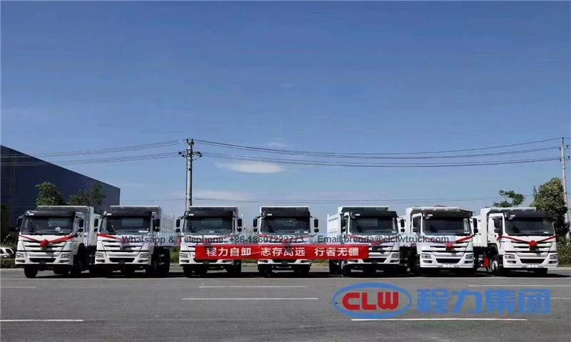 xe tải Trung 4x2 6 bánh xe 20 t 290hp đã sử dụng xe tải đổ