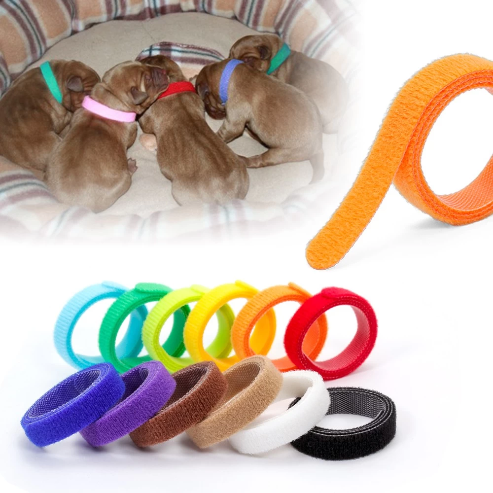 12种可重复使用的尼龙宠物ID项圈带背对背钩环小狗ID胶带