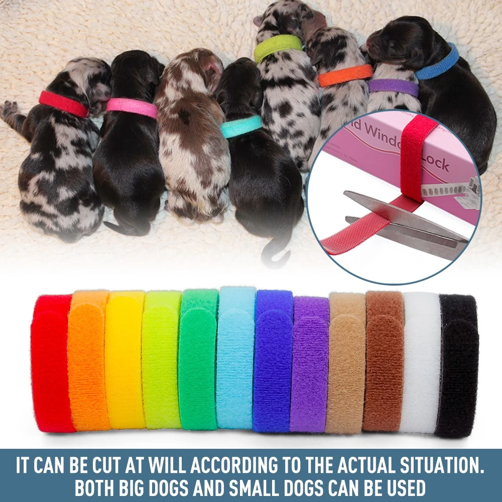 12种可重复使用的尼龙宠物ID项圈带背对背钩环小狗ID胶带