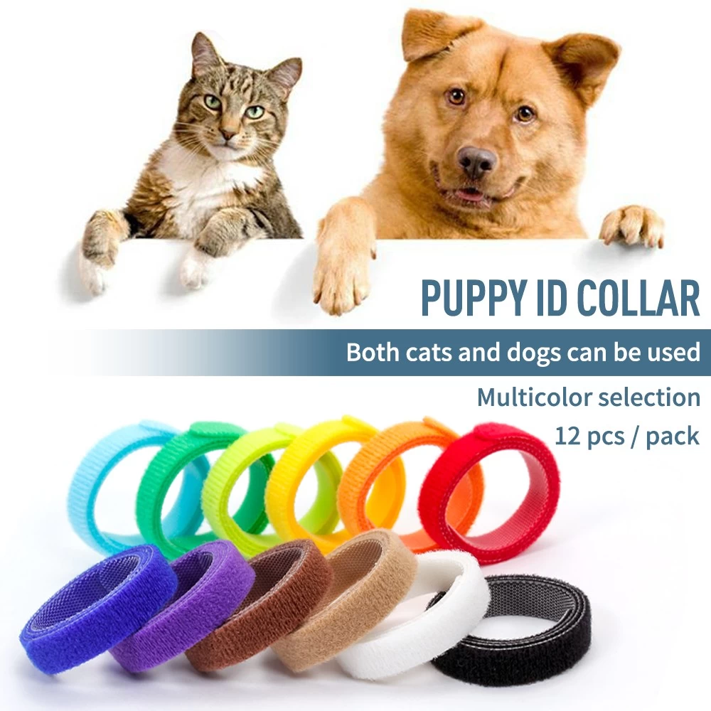 Customized package dog ID collar strap adjustable 100% nylon hook and loop