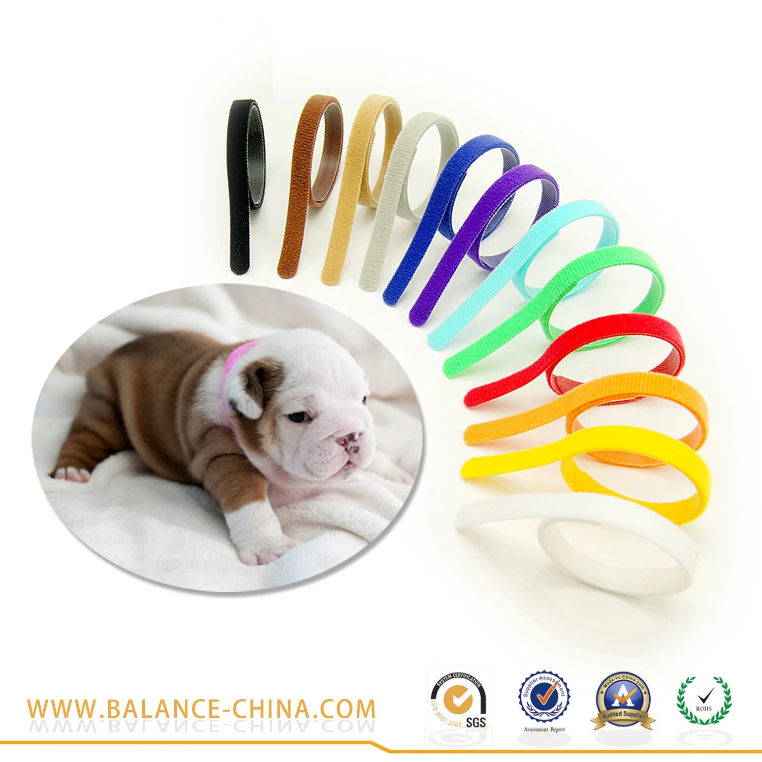 Whelping Puppy ID Collar Bands
