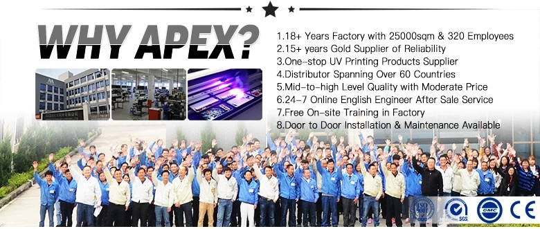 porcelana Por qué APEX fabricante