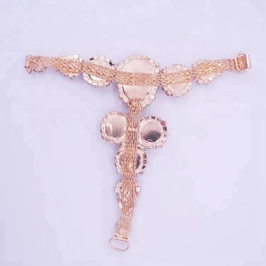 Cheap Noble Fancy Full Diamond Pearl Elegant Ladies Shoes Buckles Women Shoes Accessories