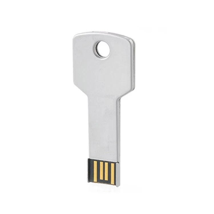 중국 OEM 로고 금속 키 체인 usb 2.0 플래시 드라이브 pendrive 회사 로고 제조업체