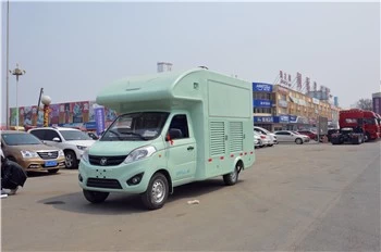 中国新的冷冻食品卡车待售