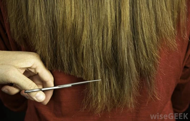 split ends before and after cut