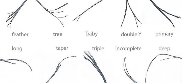 Different Types of Split Ends and What They Mean