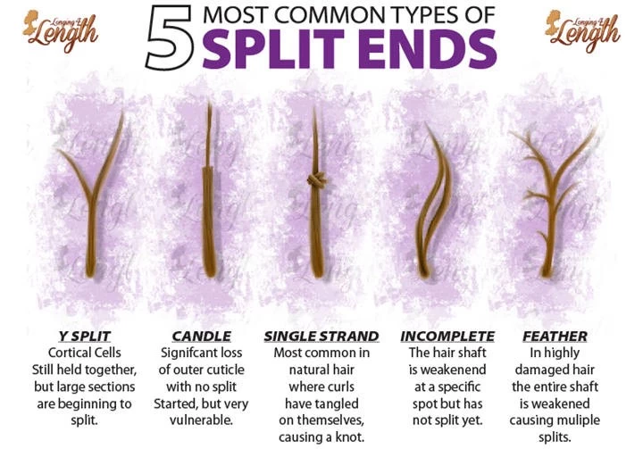 split end types, hair split ends, most common types of split ends