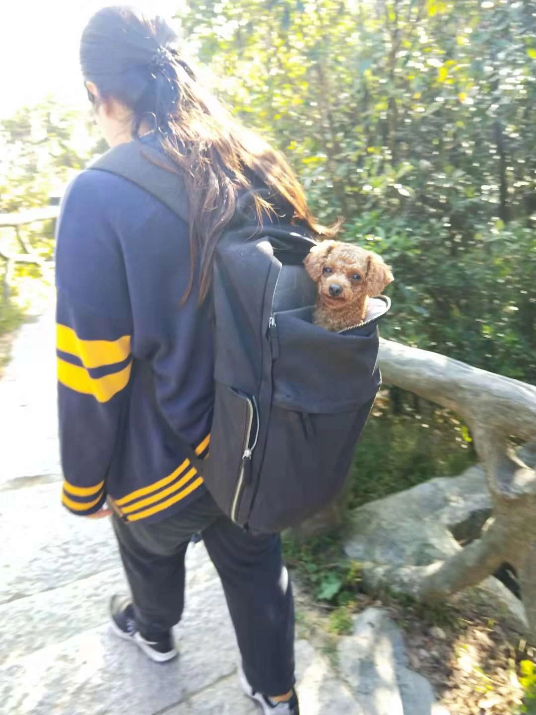 XY-GLBAL TEAM take a dog to climbing mountain