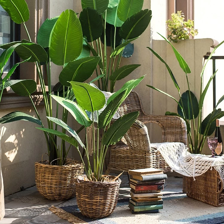 China Artificial leaf simulation green palm outdoors artificial banana traveller plants tree Hersteller
