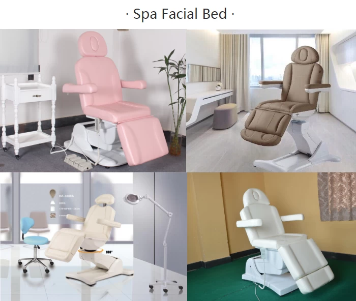 wholesale spa facial bed massage spa bed beauty furniture electric beauty bed DS-2017