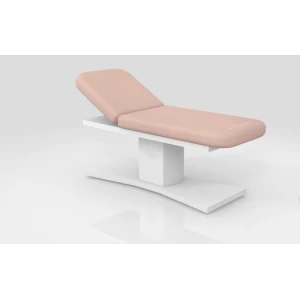 Electric Massage Bed Massage table manufacturer with massage bed spa equipment DS-M2019