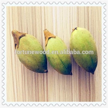 China Fast growing rate cold resistant paulownia shan tong seeds for planting manufacturer