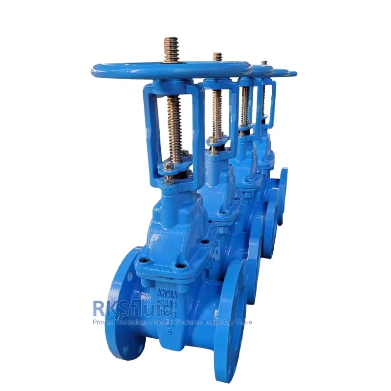 China AWWA Ductile Iron DN100 DN150 DN350 Rising Stem Metal Seated Flange Gate Valve for Water Treatment manufacturer