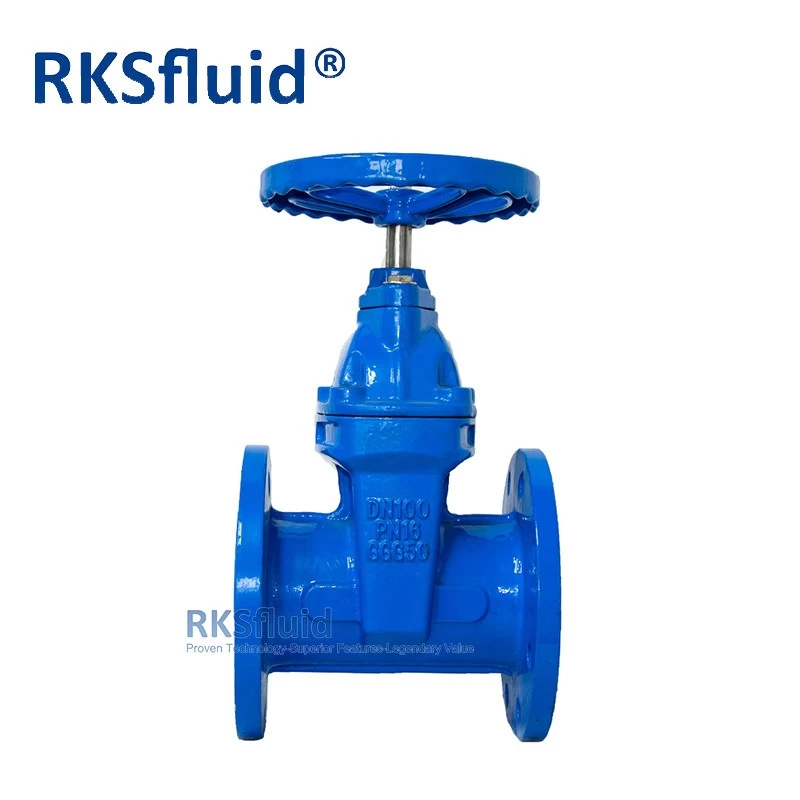 China BS 5163 Ductile iron GGG50 Resilient Seated Flange Gate Valve DN100 PN16 manufacturer