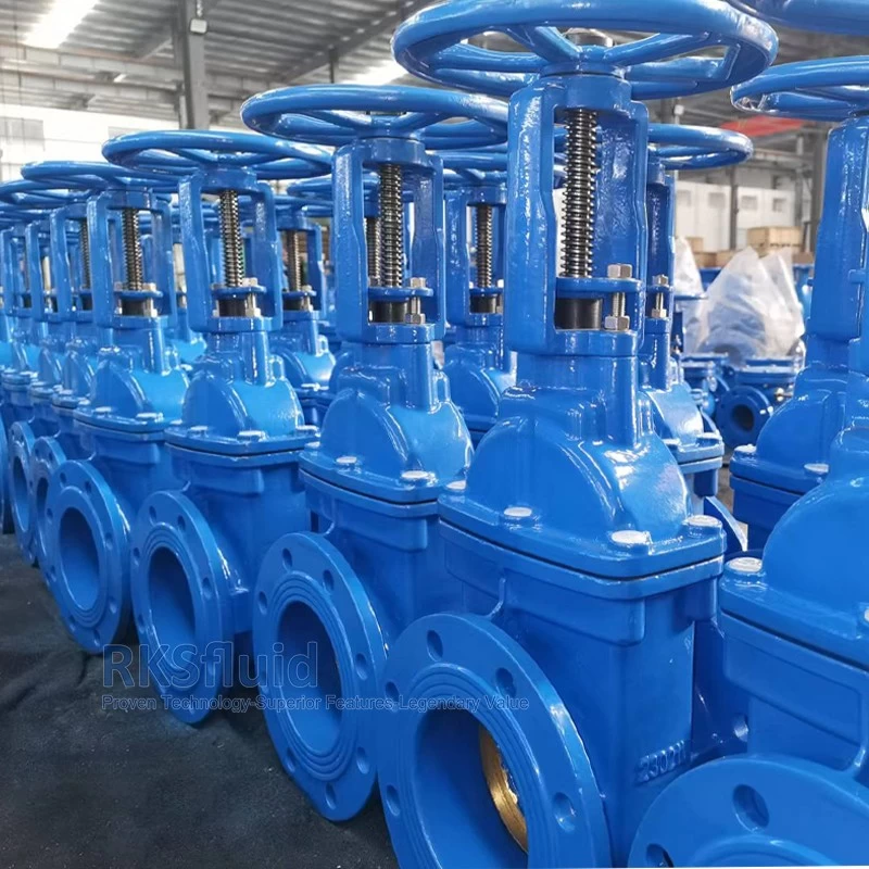 China BS 5163 Rising Stem Resilient Seat Flanged Gate Valve CE Approval for water manufacturer