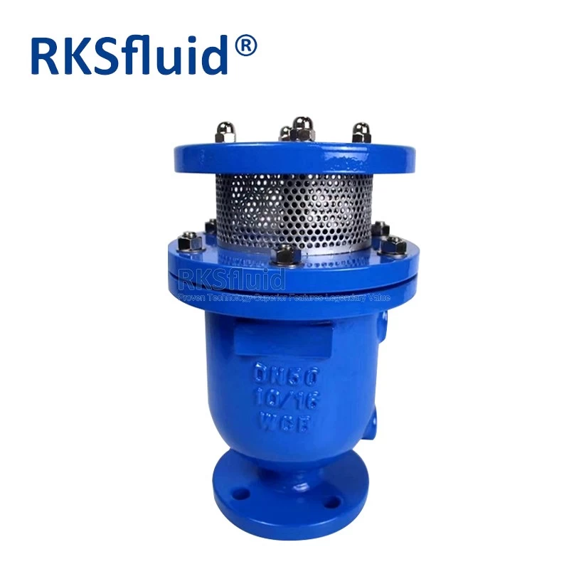 China BS EN Ferro dúctil de 25 mm de flange rosqueado Automático Válvula de liberação de pressão para a linha de água fabricante