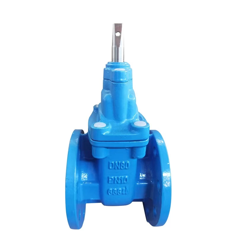 China BS EN water gate valves BS5163 ductile cast iron mining metal seated flange gate valve drawing PN16 manufacturer